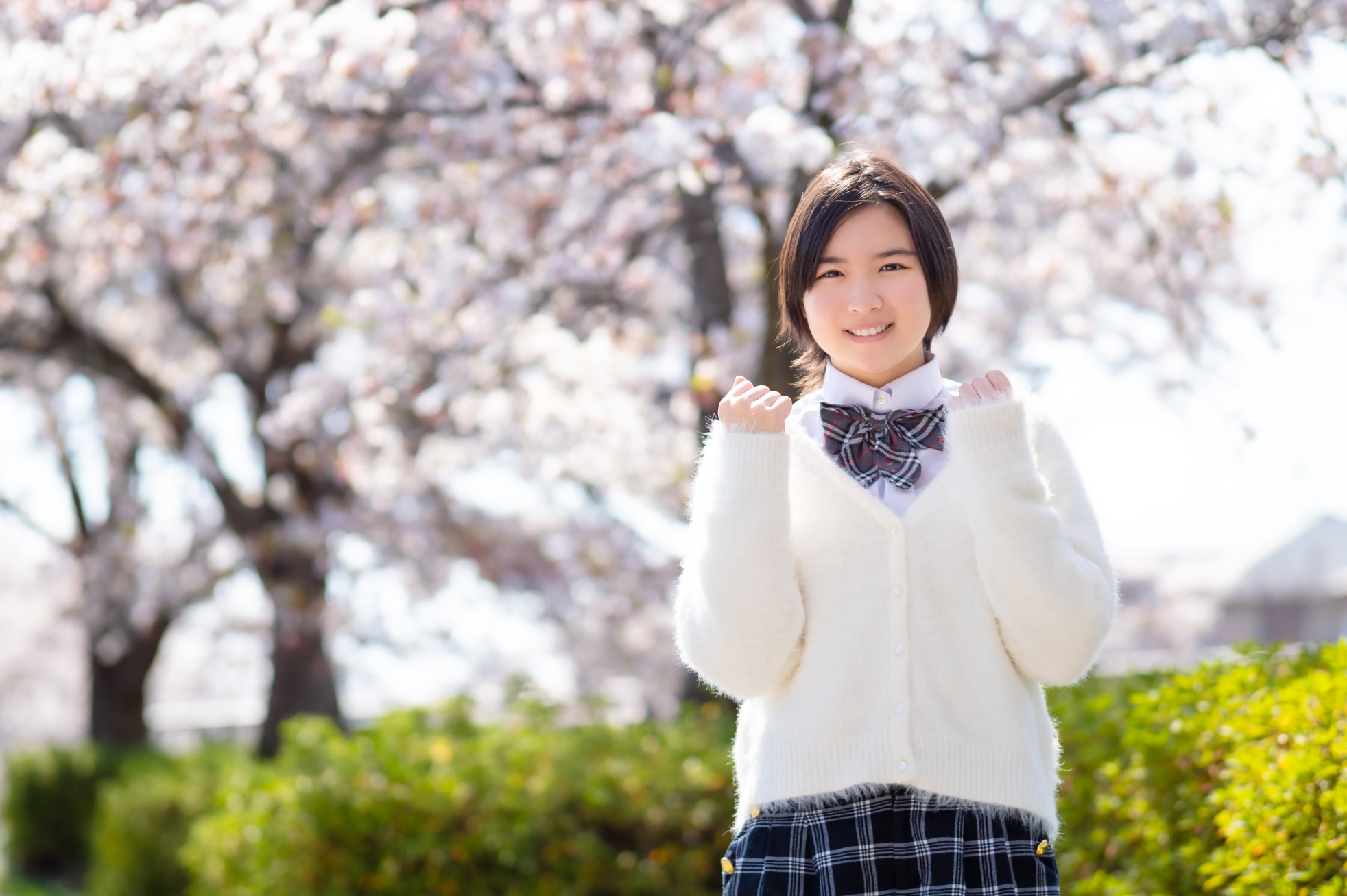 ご入学おめでとうございます!(越境ECにおける季節感)